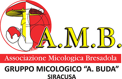 A.M.B. - Associazione Micologica Bresadola - Gruppo Micologico A. Buda Siracusa